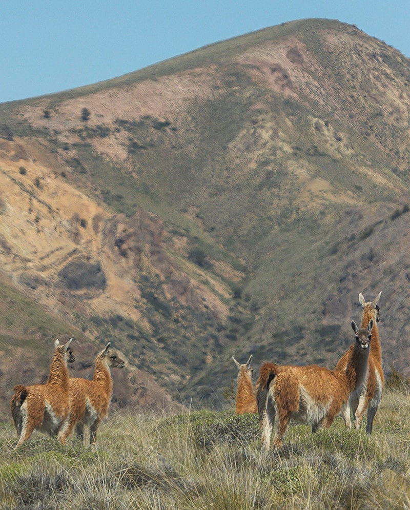 experiencia-patagonica-galeria-2